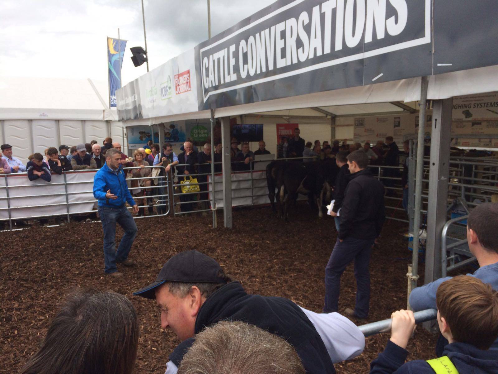 Read more about the article Visit ICBF at the Ploughing