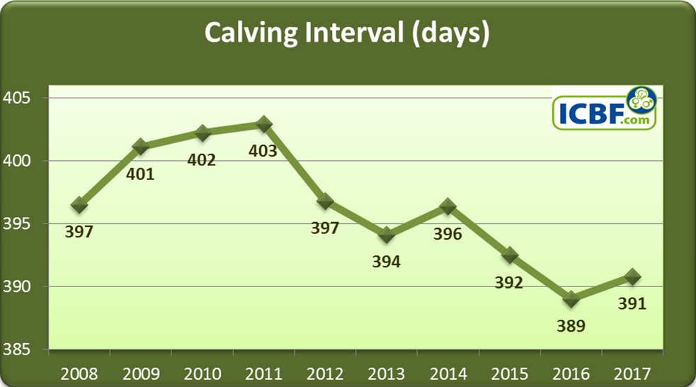 Read more about the article HerdPlus Dairy Calving Report Analysis