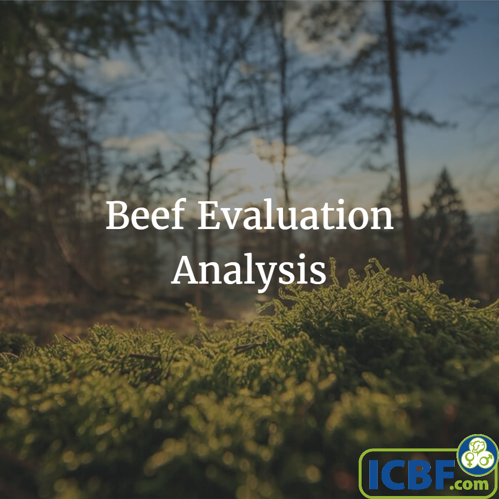 Read more about the article Beef Analysis – Genetic Evaluations