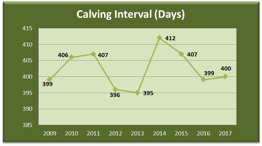 Read more about the article Beef Herd Fertility Improving Slowly