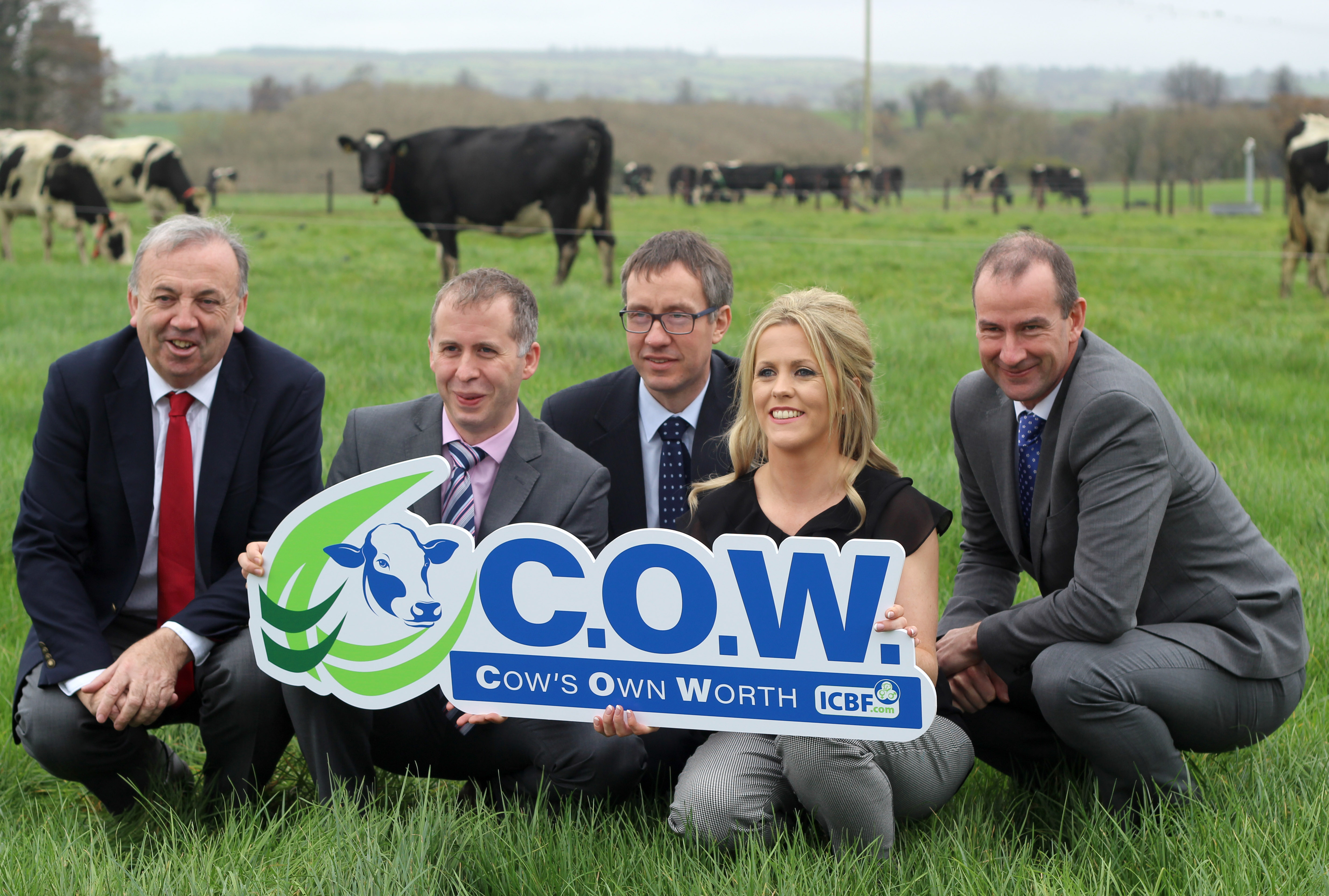 Read more about the article The C.O.W. ranks your Dairy Cows in Seconds!