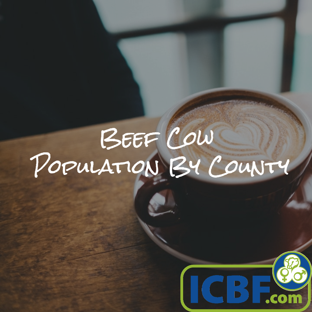 Read more about the article Beef Cow Population By County 2017