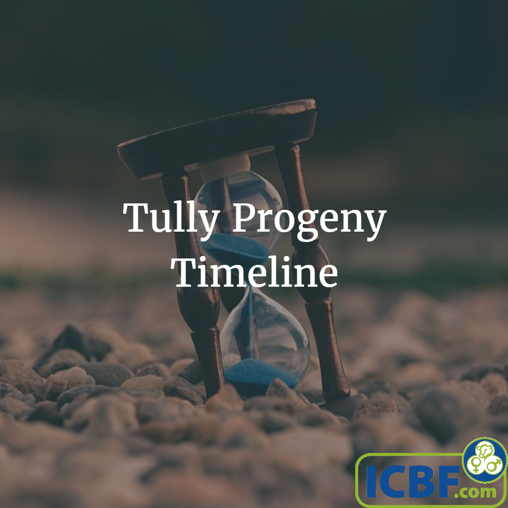 Read more about the article Timeline for Tully Progeny