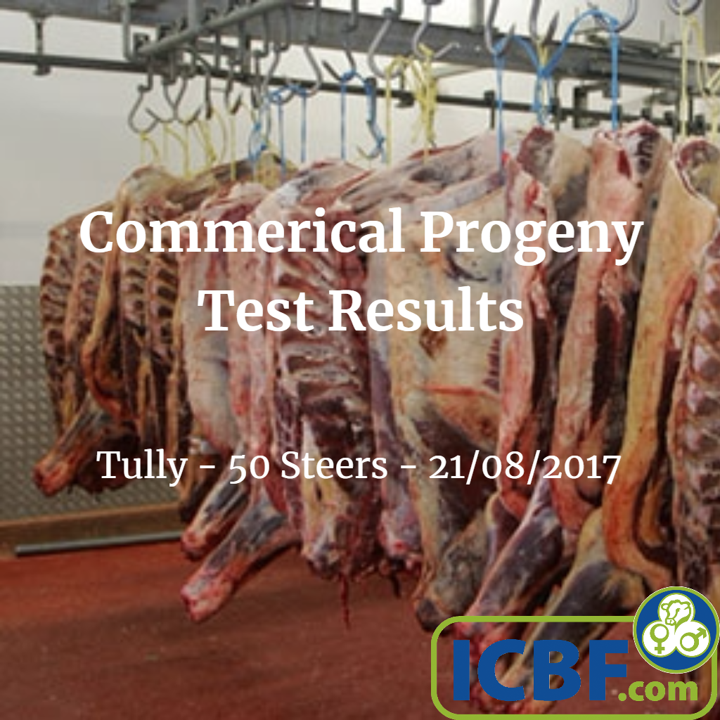 Read more about the article Commercial Progeny Test Results – Tully Steers