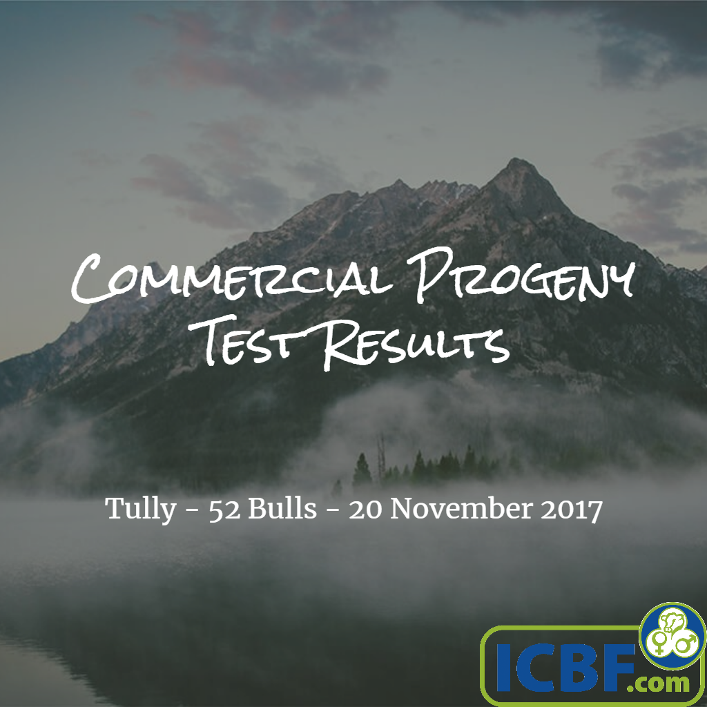 Read more about the article Tully Commercial Progeny Test Results