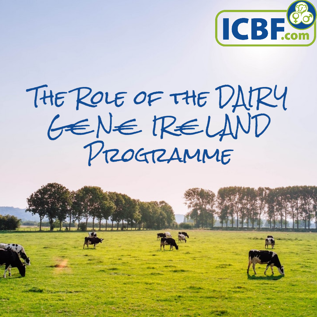 Read more about the article The Role of the DAIRY G€N€ IR€LAND Programme