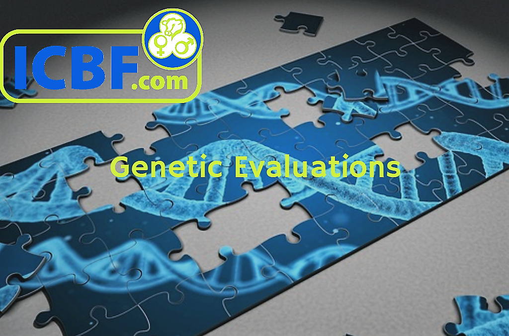 Read more about the article Genetic Evaluations are now live!!
