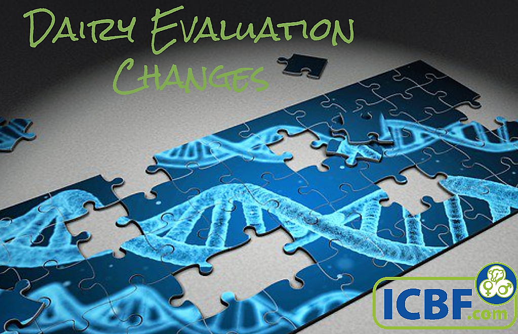 Read more about the article Dairy Evaluation Changes