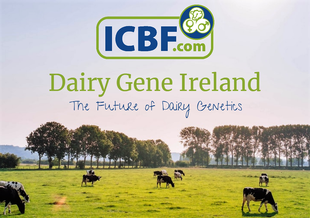 Read more about the article Dairy Gene Ireland Update-31,444 straws Ordered