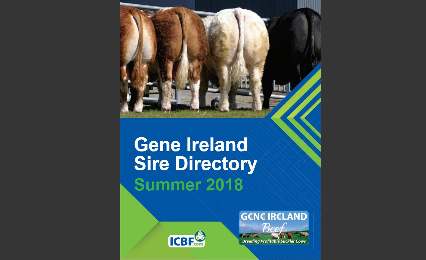 Read more about the article 8 New Bulls join Gene Ireland Beef Programme