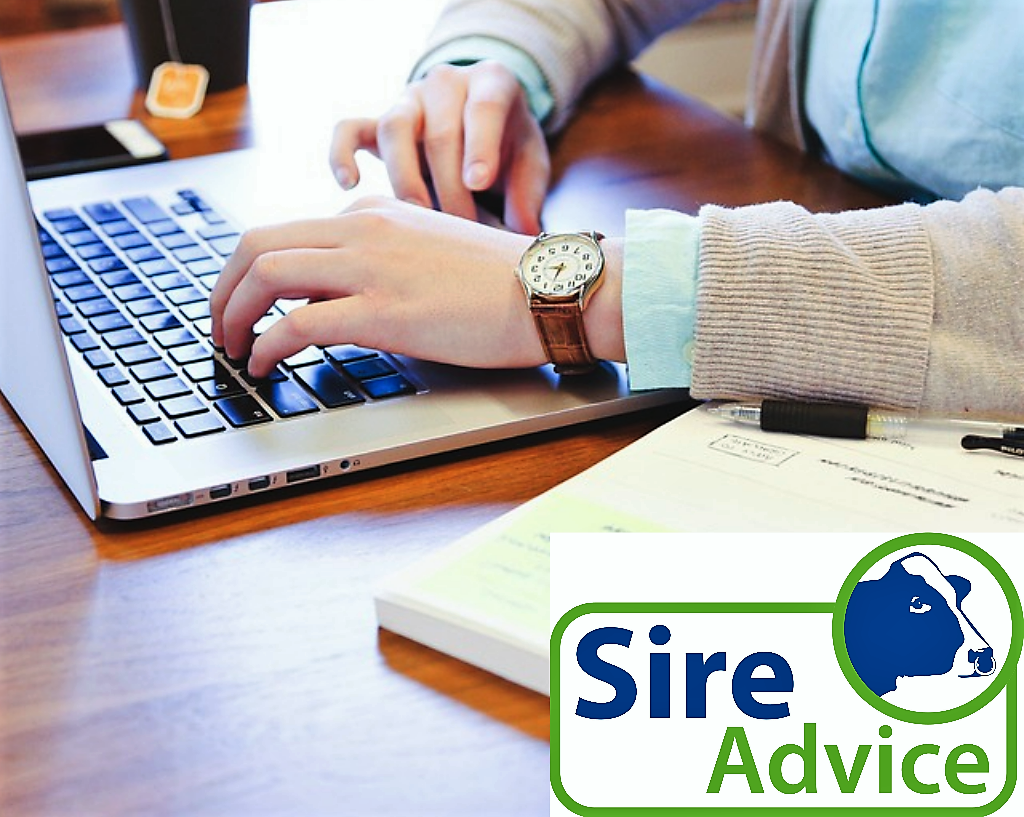 Read more about the article Deadline for Sire Advice Submission 5th April