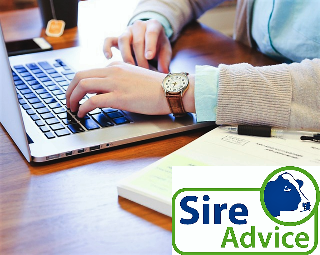 Deadline for Sire Advice Submission 5th April