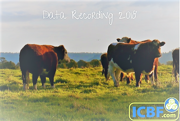 Read more about the article Importance of recording Inseminations