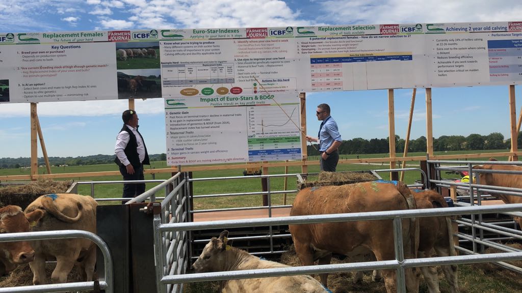 Read more about the article Beef 2018 Open day at Teagasc Grange