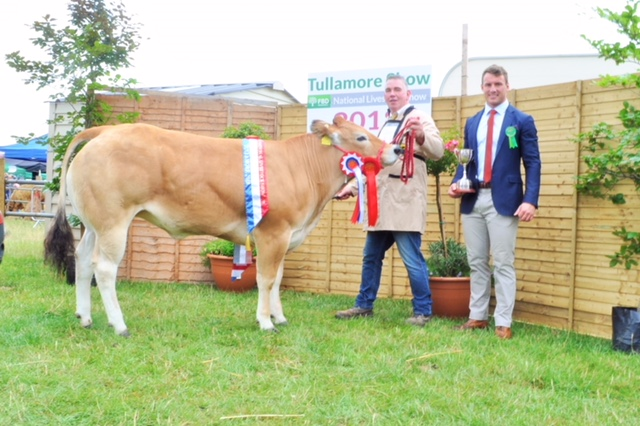 Read more about the article Gene Ireland progeny doing the business at Tullamore show!