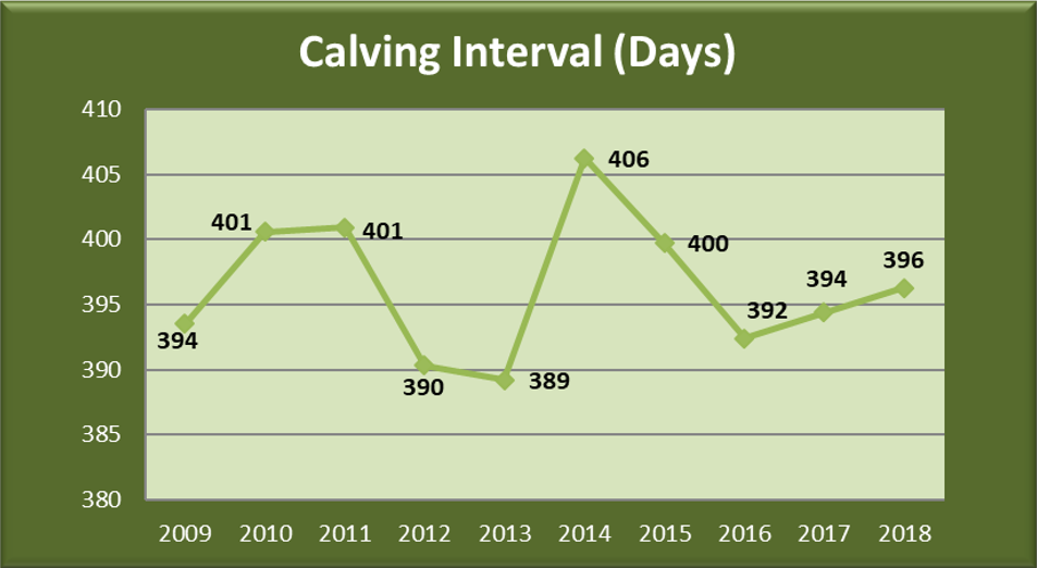 Read more about the article Beef Calving Statistics 2018