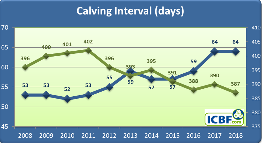 Read more about the article HerdPlus Dairy Calving Statistics 2018