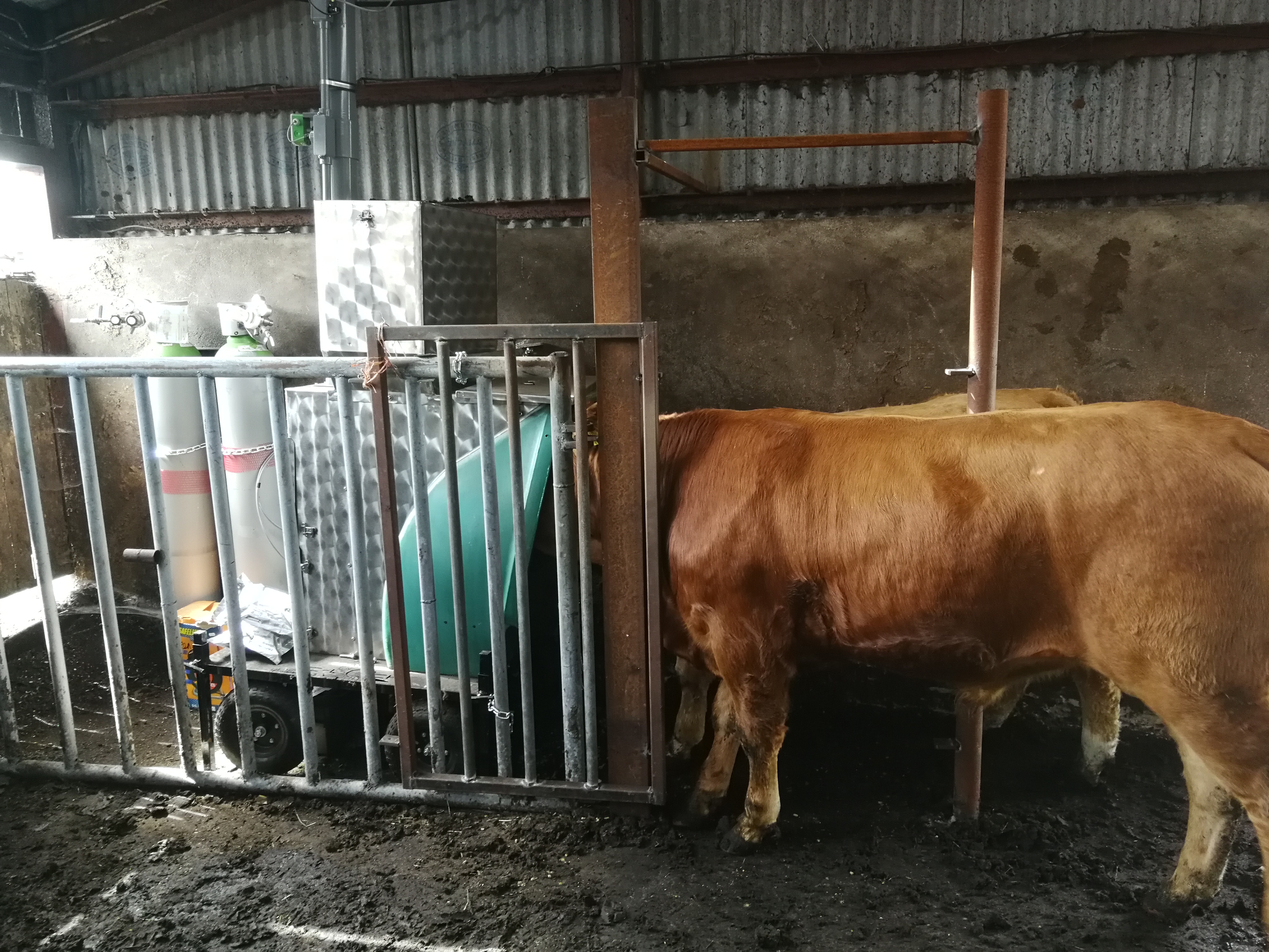 Read more about the article ‘RumenPredict’  and Measuring Methane in Tully