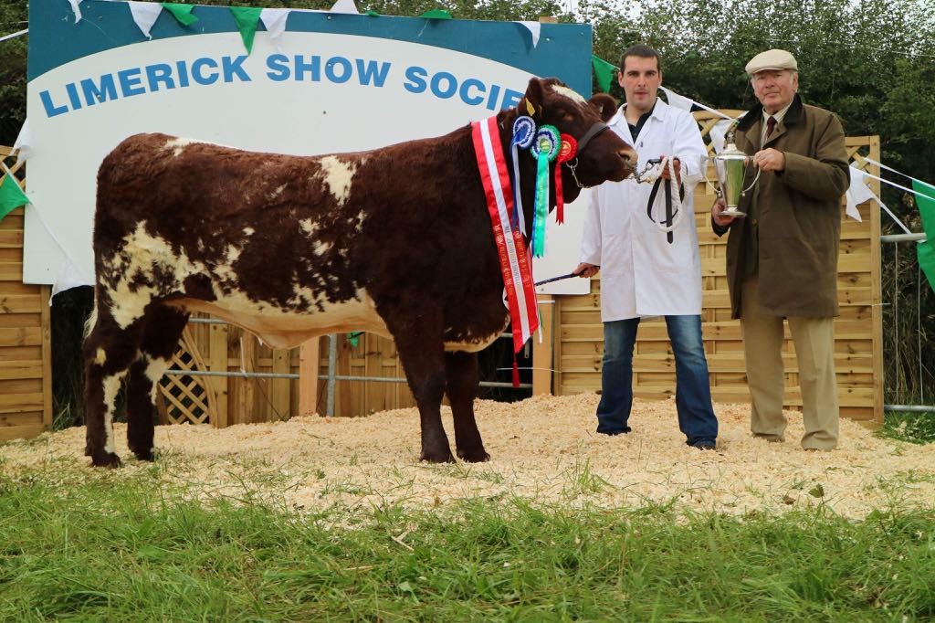Read more about the article Gene Ireland progeny doing the business!