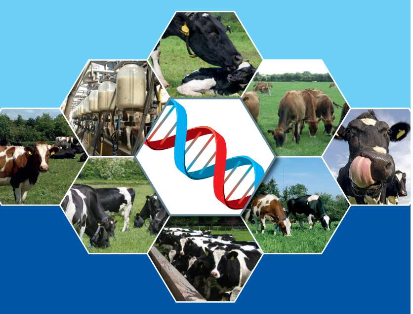 Read more about the article Dairy Herdplus User’s Guide