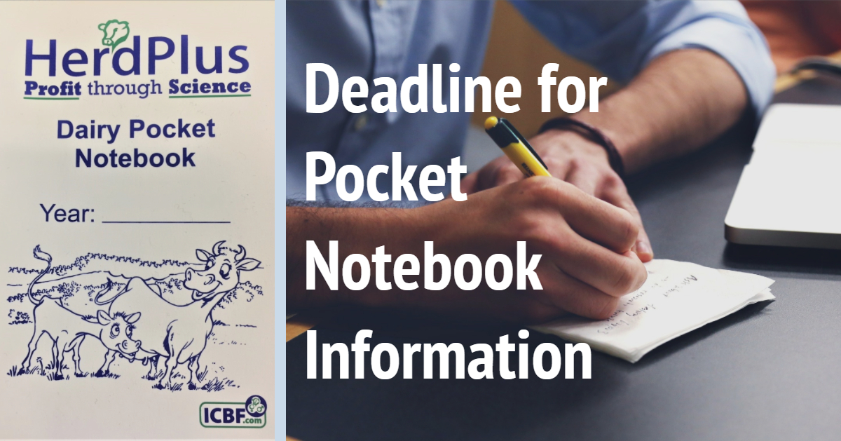 Read more about the article Deadline for Pocket Notebook Information Due Today