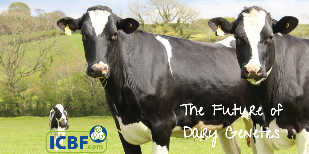 Read more about the article Dairy Gene Ireland-2019 Update