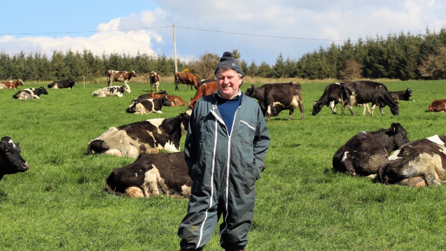 Read more about the article Brendan Hinchion – History, Farming System, Breeding & Genomics