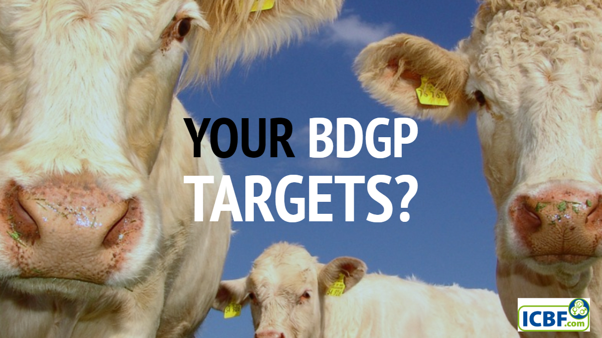 Read more about the article Is your herd meeting its BDGP targets?