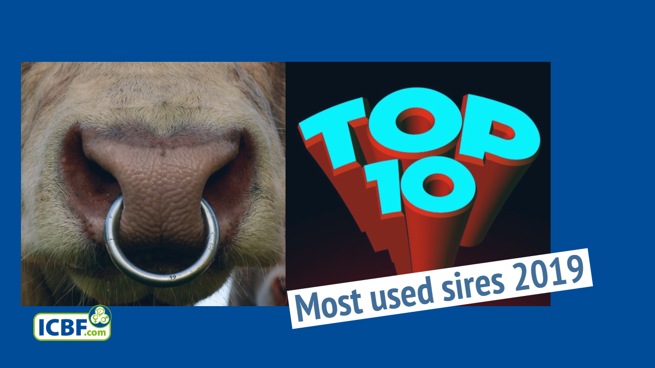 Read more about the article Top 10 most used sires in 2019