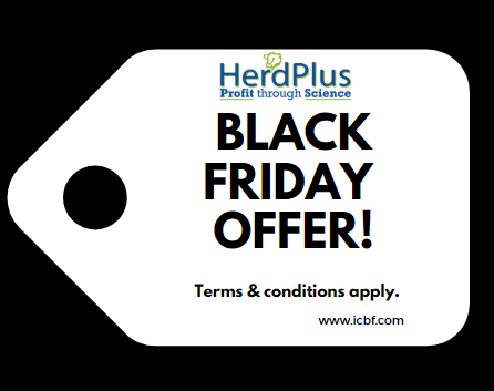 Read more about the article 2019 Black Friday Offer
