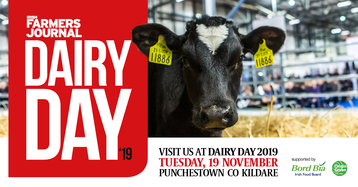 Read more about the article Join ICBF at IFJ Dairy Day next Tuesday
