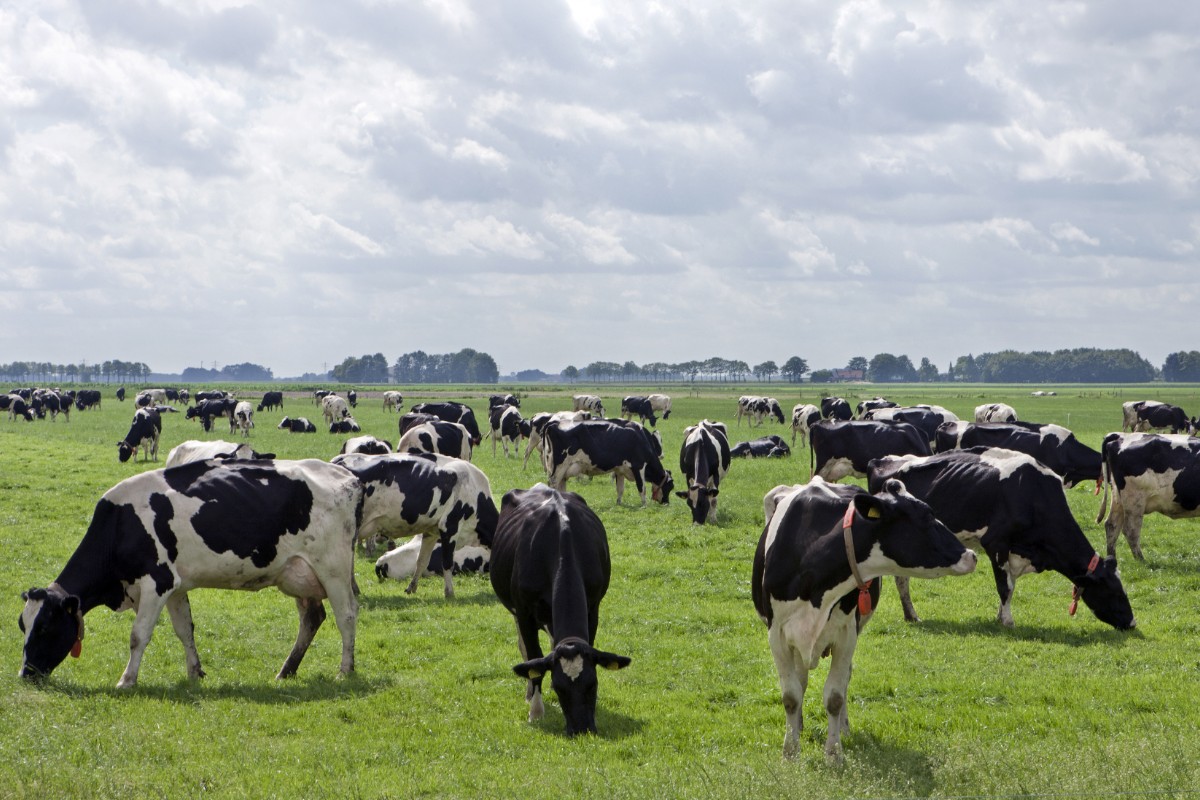 Read more about the article Teagasc Online Breeding Seminars