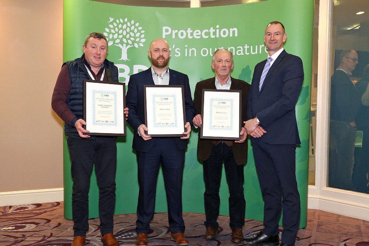 Read more about the article FBD Eurostar €200 Commercial Herd Competition Connacht/Ulster winners 2019