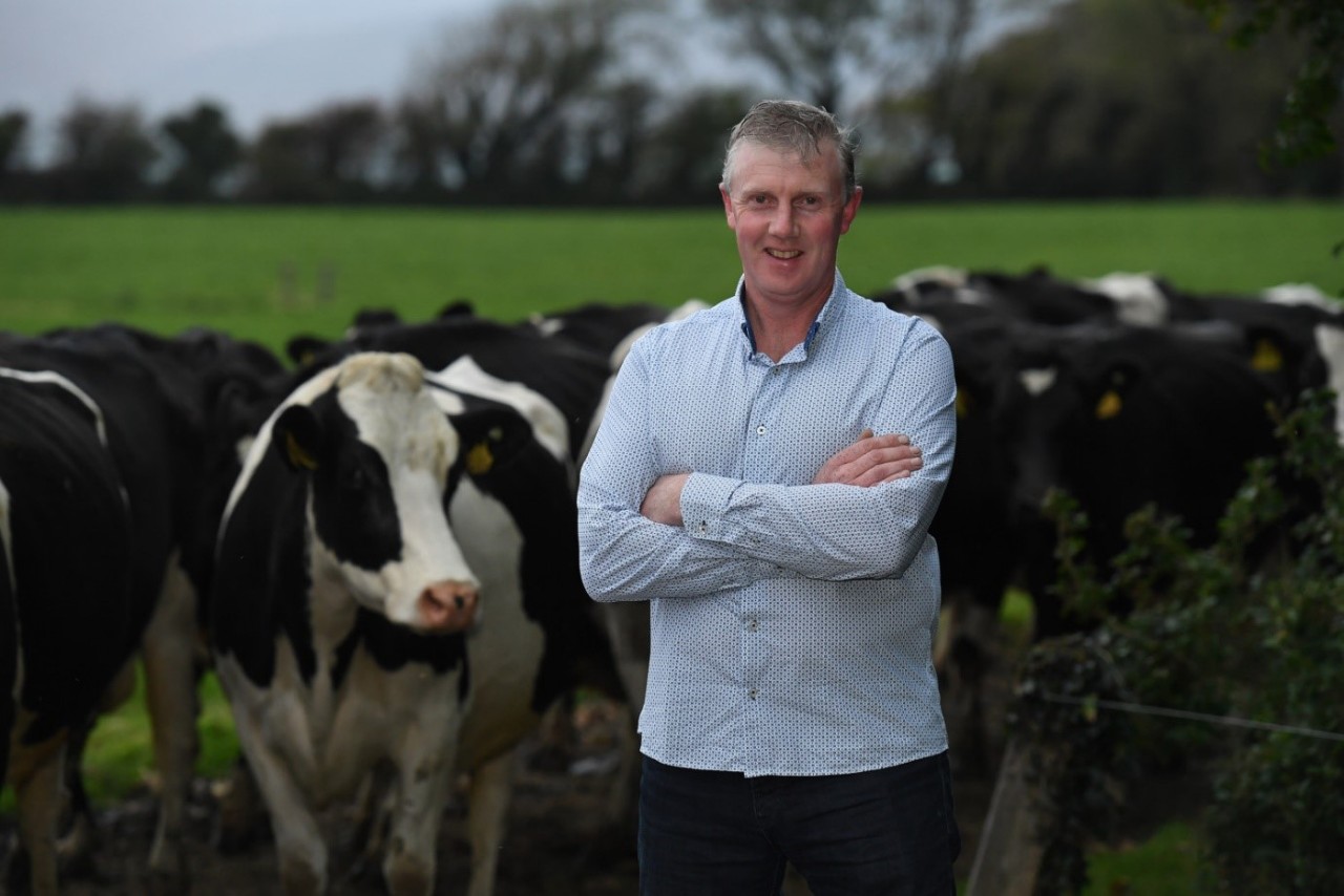 Read more about the article FBD & ICBF Best Dairy Herd Over 100 cow winner 2019