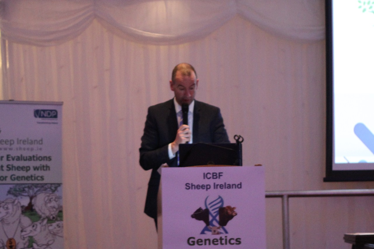 ICBF to launch improved genetic evaluations later this month