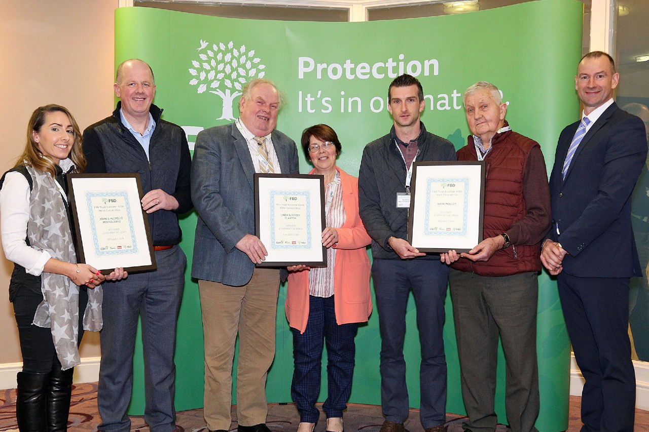Read more about the article FBD Eurostar €200 Commercial Herd Competition Leinster winners 2019