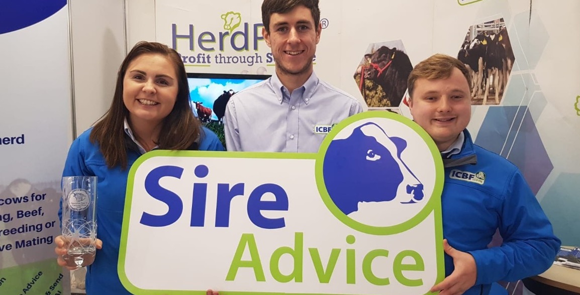 Read more about the article Big Increase in Sire Advice Usage