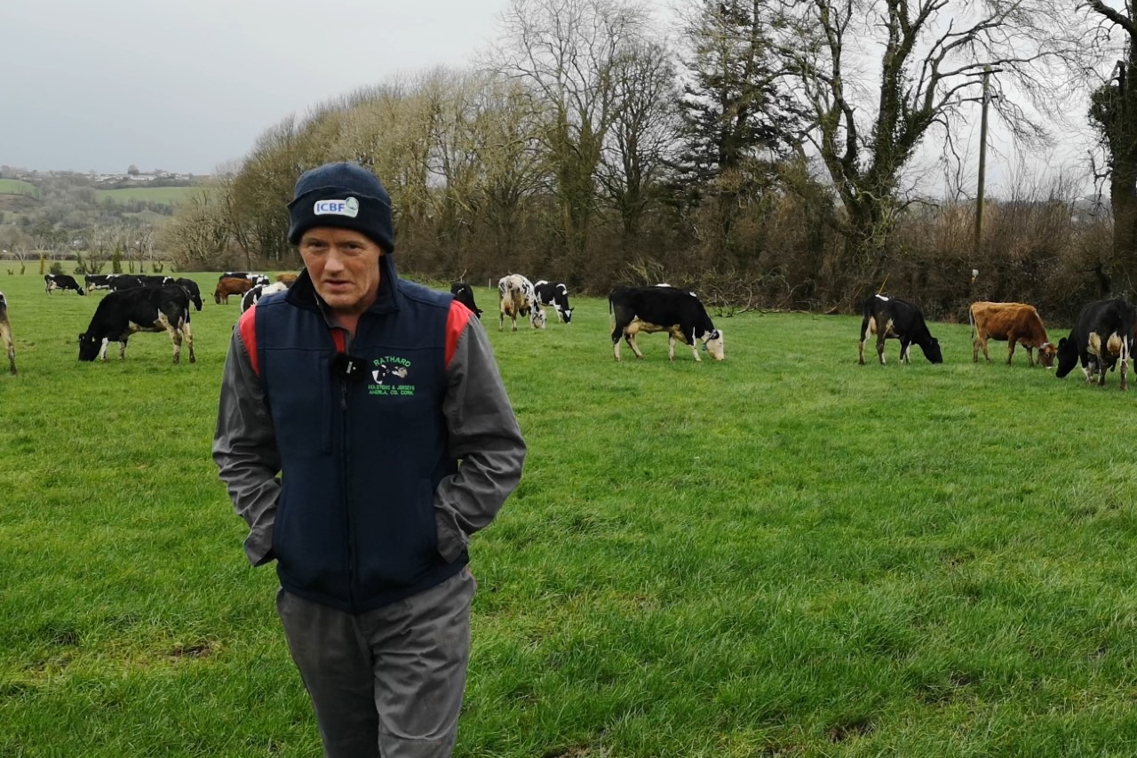 Read more about the article Peter Hynes – 17 cows served in the last 2 days