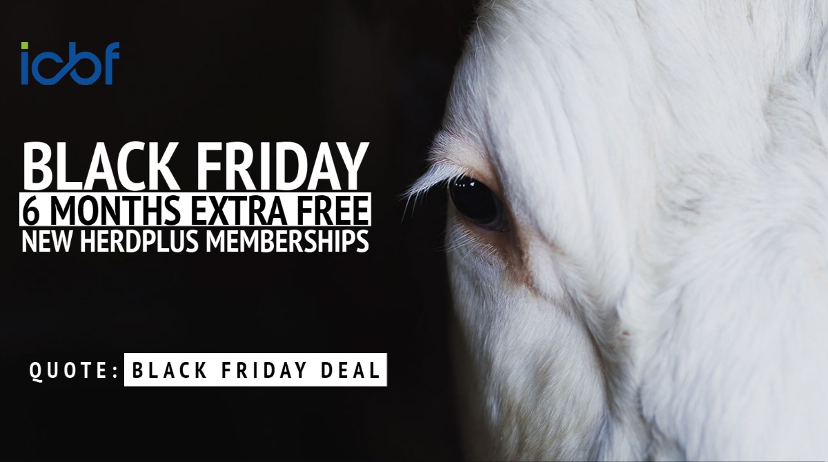 Read more about the article Black Friday Deal – Sign up to HerdPlus for 12 months and get an additional 6 months Free