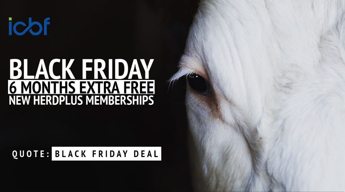 Black Friday Deal – Sign up to HerdPlus for 12 months and get an additional 6 months Free