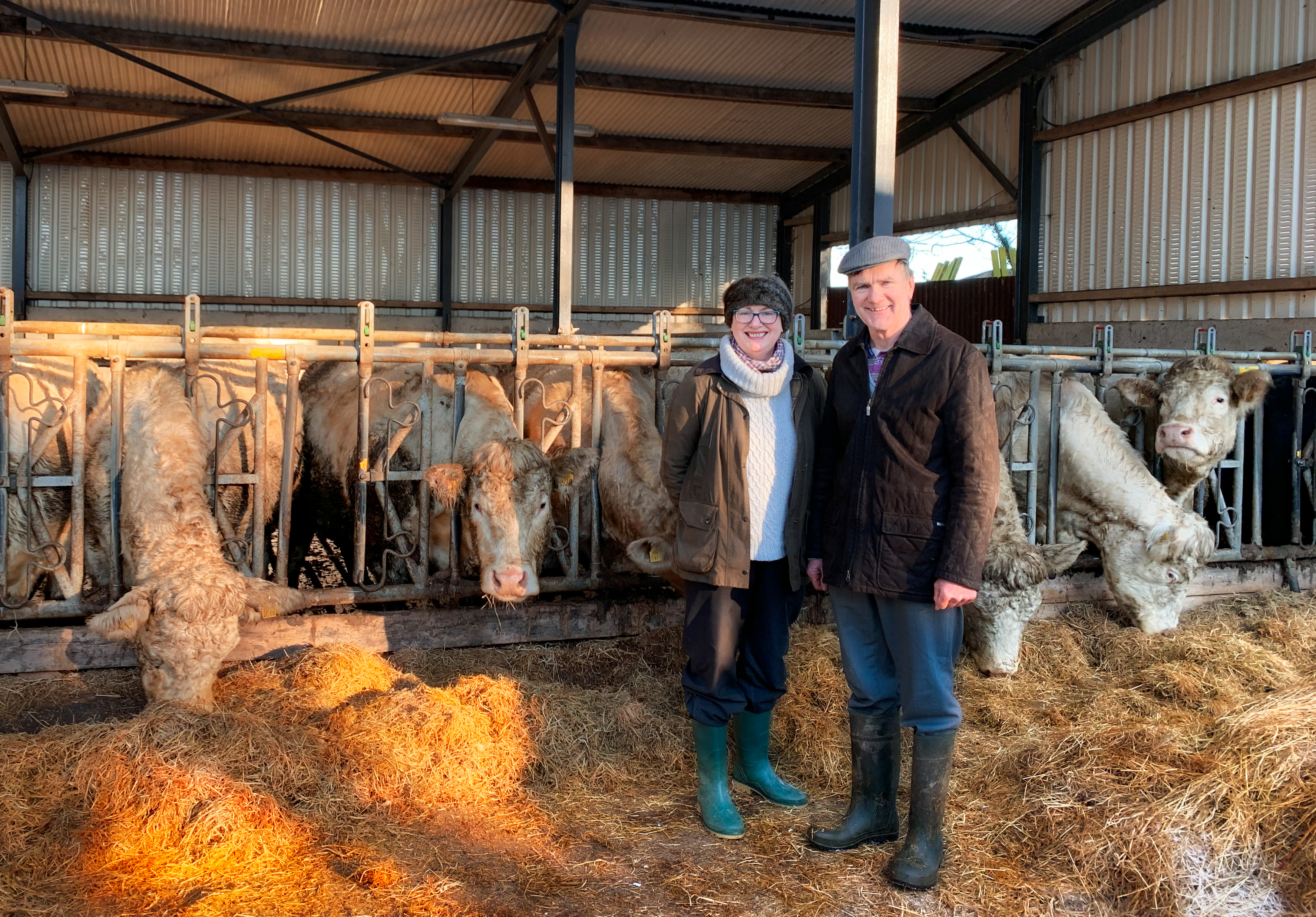 Read more about the article FBD €uro-Star €200-Pedigree Beef Finalist – Genotyping and data recording vital for decision making in the Randalstown herd
