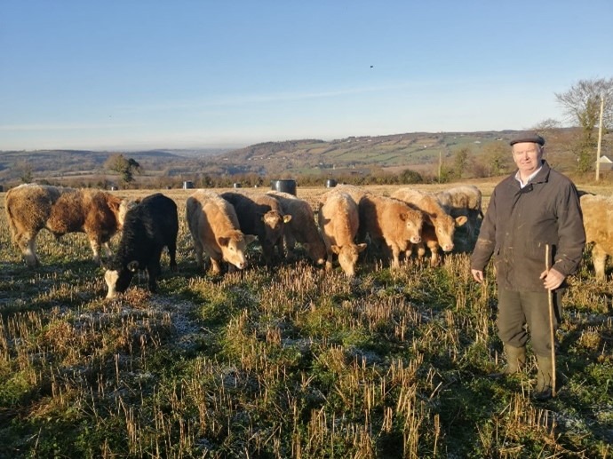 FBD €uro-Star €200 Commercial-Beef Finalist – Organic suckler farmer striking a balance in Co. Kilkenny