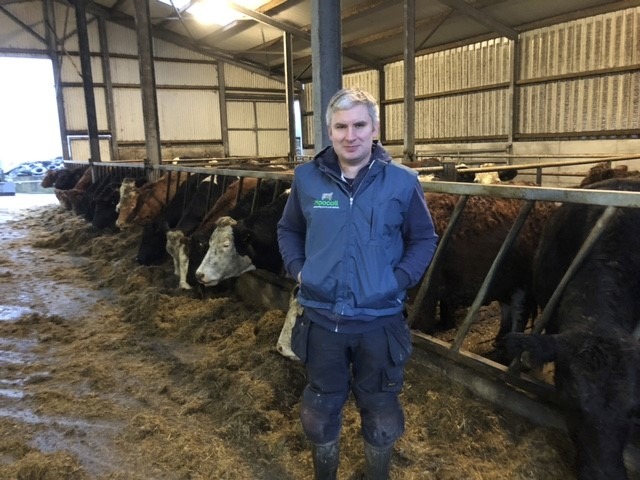 Read more about the article FBD €uro-Star €200 Commercial Beef Finalist – High levels of data recording working well in Tipperary herd