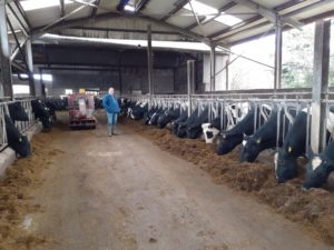Read more about the article FBD Best Dairy Herd Finalist – “Milk recording is an essential tool for managing SCC and identifying poor performing cows in the Knockmullane herd”