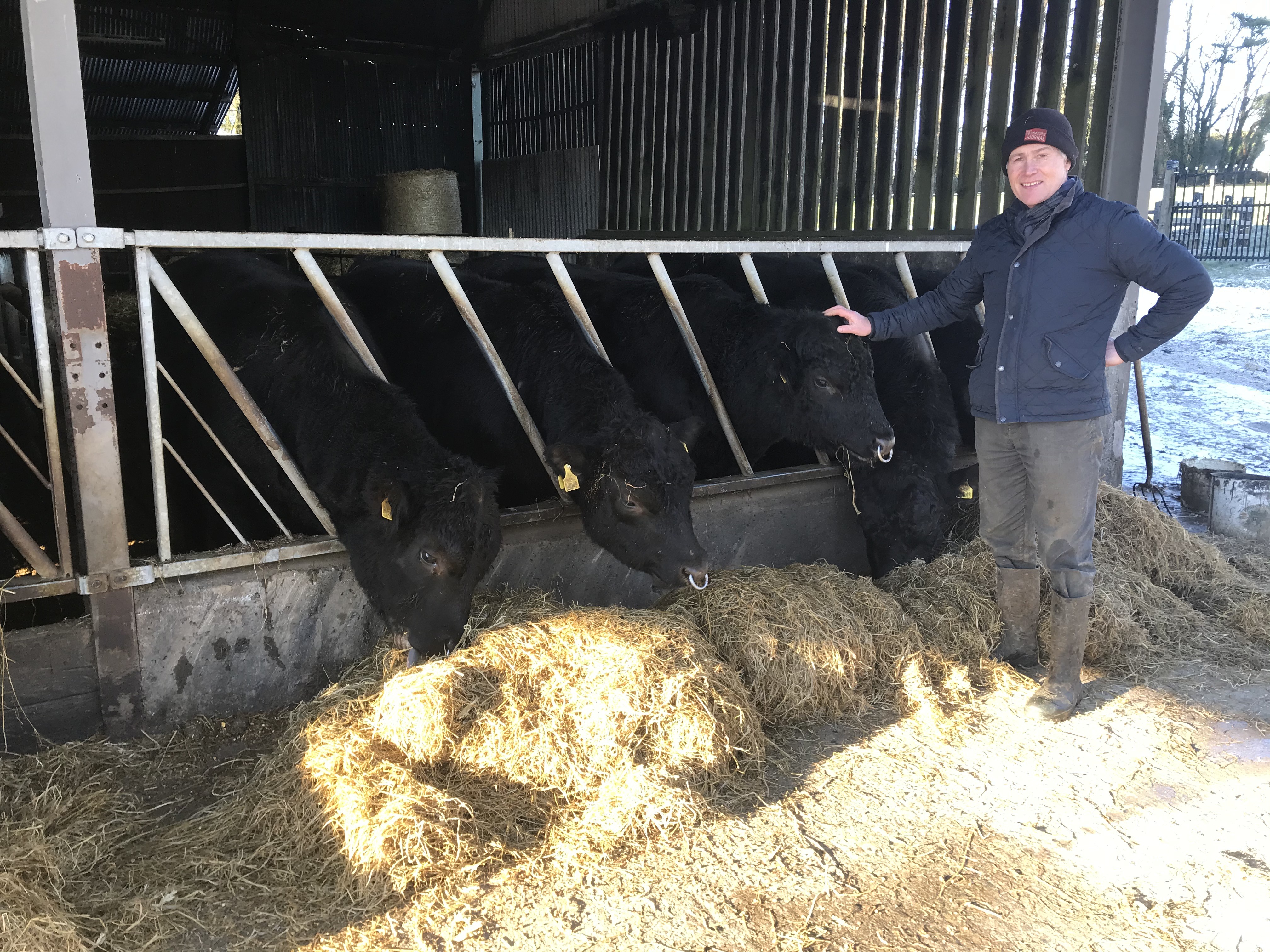 Read more about the article FBD €uro-Star €200 Pedigree Beef Finalist – Exemplary levels of engagement in the Aughnabroone herd