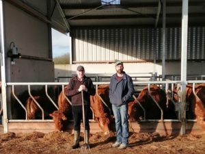 Read more about the article FBD €uro-Star €200 Pedigree Beef Finalist – Fermoyle herd makes tremendous strides in herd fertility