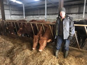 Read more about the article FBD €uro-Star €200-Commercial Beef Finalist – Increased AI usage having a positive impact on the genetic merit of Co. Galway herd