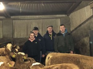 Read more about the article FBD €uro-Star €200 Pedigree Beef Finalist –Performance recording proving key to the success of the Kilkitt herd