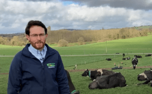 Breeding Week – Breeding Maiden Heifers on an ‘Out Farm’