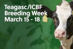 Read more about the article Teagasc/ICBF Breeding Week 2021